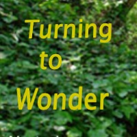 The Courage to Lead 2016 poster is a background photograph of a path in the woods with ivy like ground cover on the sides of the path and with dappled sunlight shining through. The event text is in bright lemon yellow.